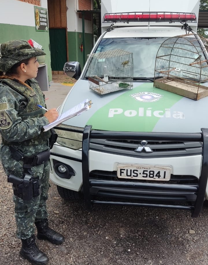 Apreensão das aves ocorreu nesta terça, em residência na Vila Verinha, em Prudente