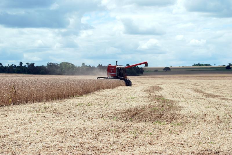 Programa Empresário Rural: Senar e Prefeitura de Iepê oferecem curso para produtores rurais