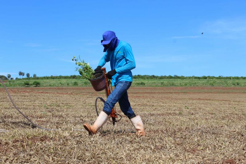 Projeto Corredores de Vida, do IPÊ, vem transformando a paisagem na região do Pontal do Paranapanema