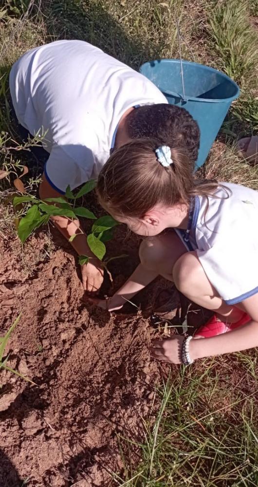 Alunos aprendem sobre preservação e conservação do solo durante plantio de mudas de árvores em Pirapozinho