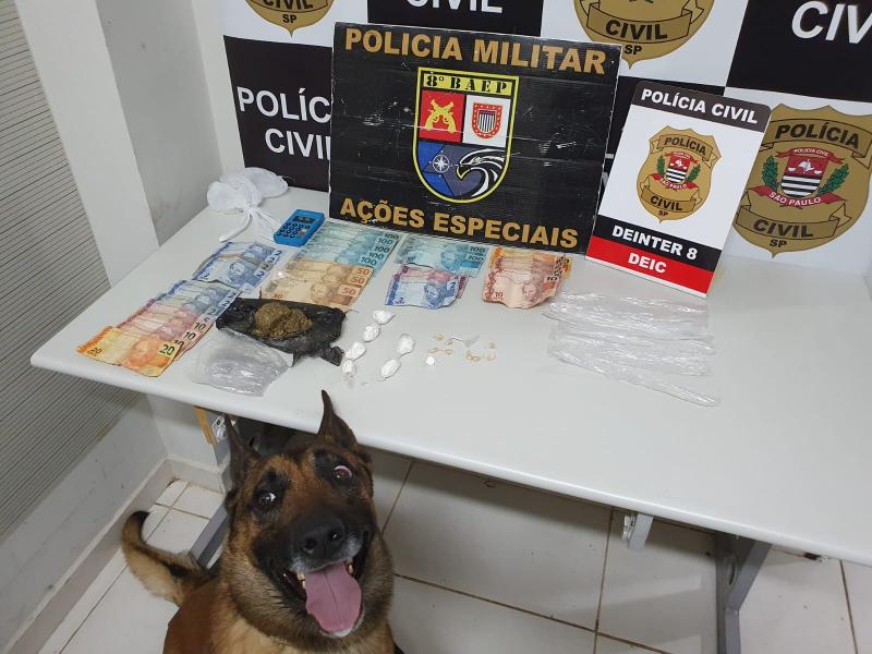 Trabalho de localização das drogas contou com ajuda de cão farejador