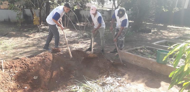 Alunos usam pequenos espaços para produção de hortaliças e redução de gastos com alimento