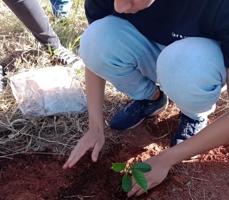 Alunos plantaram mudas de árvores nativas em alusão ao Dia Mundial do Meio Ambiente