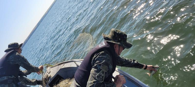 Por estarem vivos, peixes foram soltos no ambiente aquático