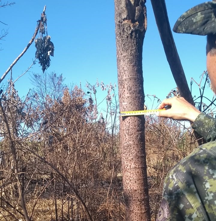 Queimada atingiu parte de uma APP em fazenda em Santa Mercedes 