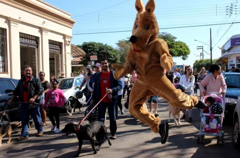 Durante a “2ª Cãominhada” vai ter vacinação antirrábica e teste para diagnóstico de leishmaniose; 1ª edição ocorreu em 2019 (fotos) 