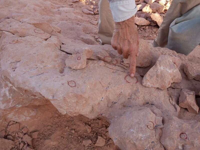 Denúncia aponta supostas irregularidades nas escavações de fósseis no Parque dos Girassóis