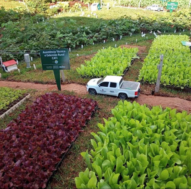 João Menezes, da Cati, lista agricultura e pecuária como grandes geradores de emprego e renda