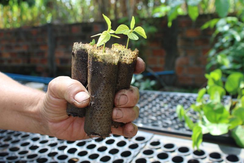 Cada viveirista recebeu em média 40 bandejas e 5 mil ecopotes, para iniciar o processo de transição