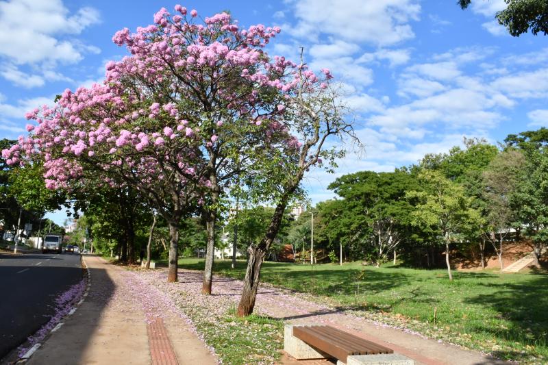 Caminhada alusiva ao Outubro Rosa terá saída e retorno no recuo do Parque do Povo