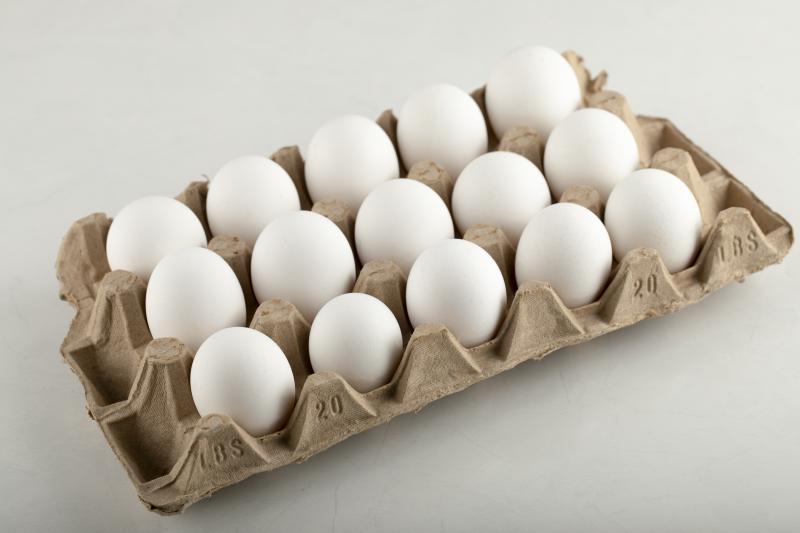 Valor médio da dúzia de ovos brancos teve queda de 16,73%