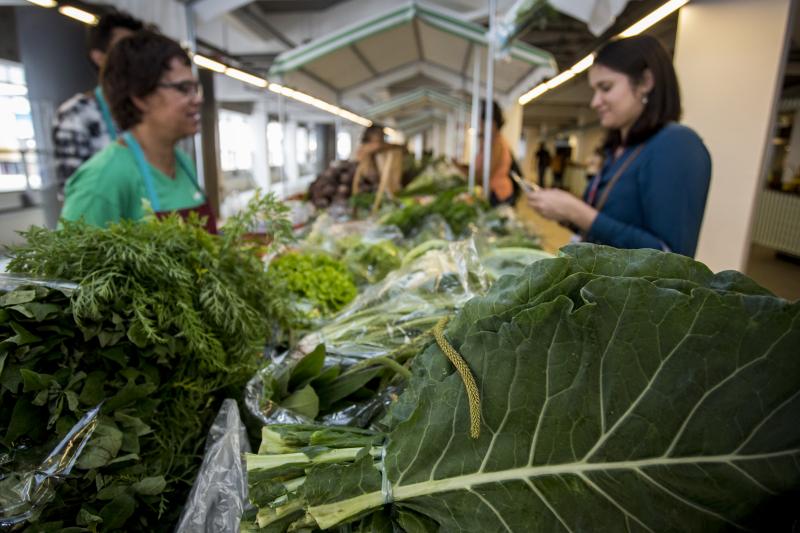 Feira de pequenos produtores visa fortalecer a agroecologia e as iniciativas socioambientais da região