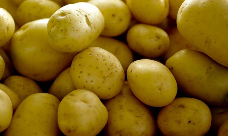 Preço do quilo da batata contribuiu para inflação do grupo de alimentos