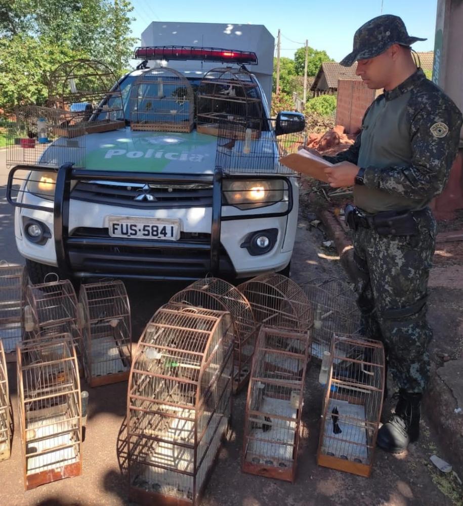 No total, policiais ambientais apreenderam 18 aves  