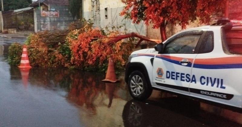 Forte chuva de sexta-feira provocou quedas de árvores em via pública e sobre residência