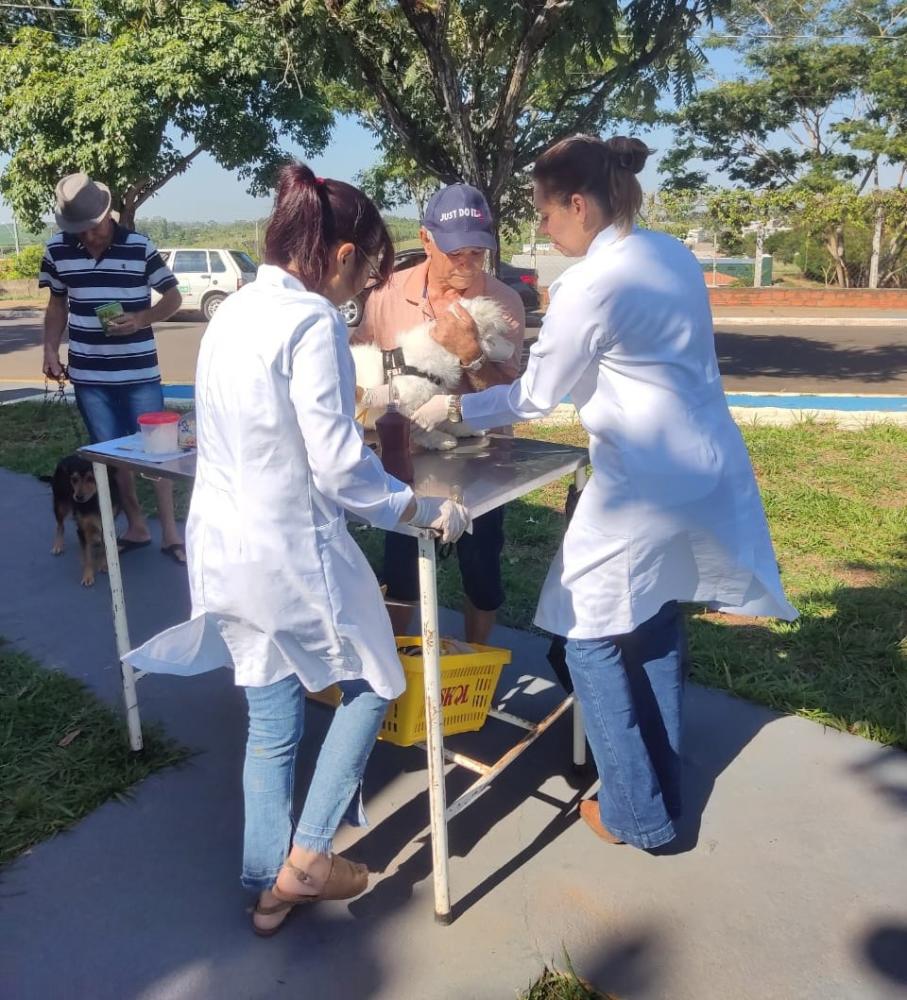 Prefeitura de Pirapozinho faz campanha de vacinação e chipagem de animais