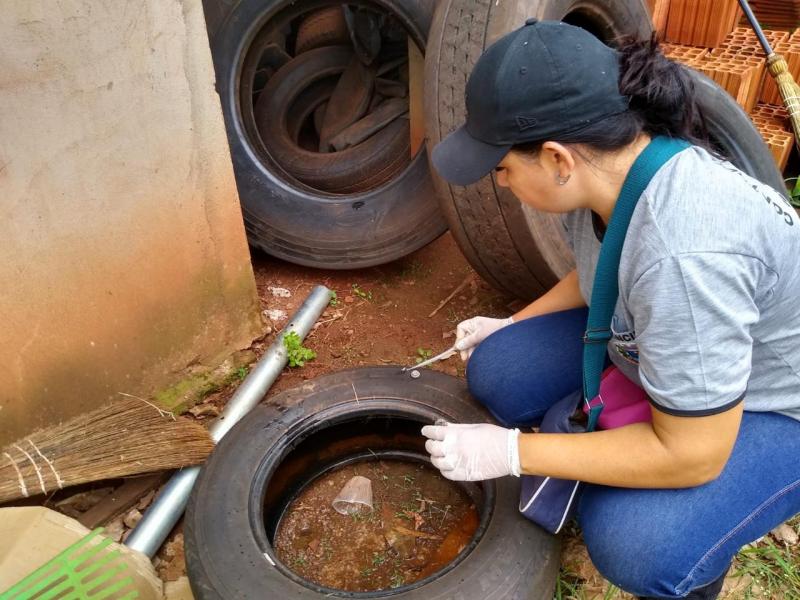 Agentes de saúde e endemias de Iepê visitam casas no combate à dengue