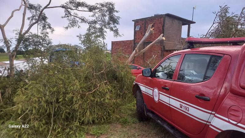 Em Montalvão, três veículos foram danificados após serem atingidos por uma árvore