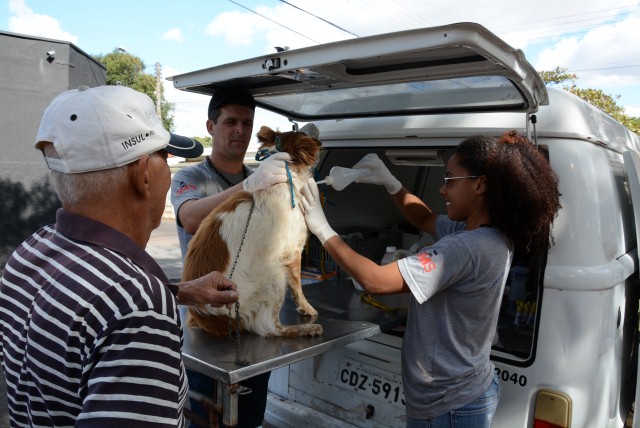 CCZ leva serviços a cães para quadra coberta do Jardim São Bento neste sábado