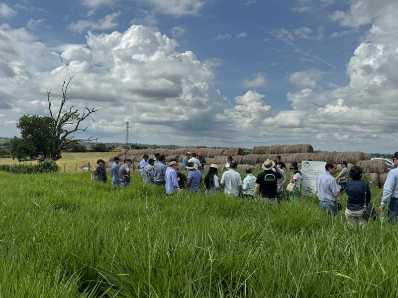 Produtores e convidados conhecem as novas variedades, no Centro de Pesquisa de Cultivares