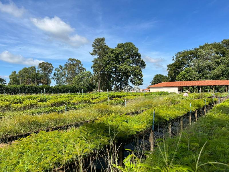 Resolução foi assinada durante visita ao viveiro da Pontal Flora, em Venceslau