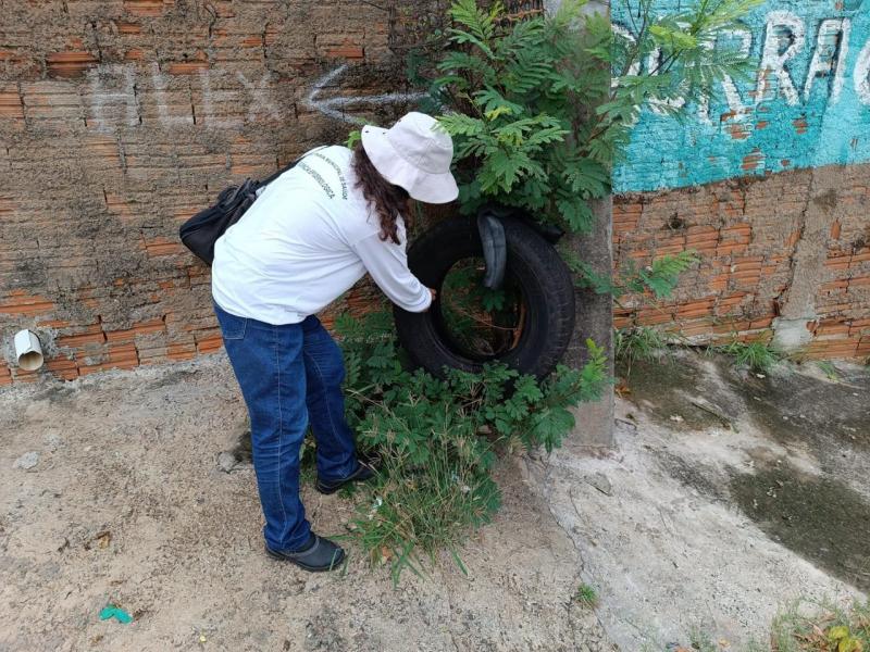 Secretaria de Saúde fica autorizada a executar medidas necessárias ao controle do mosquito da dengue