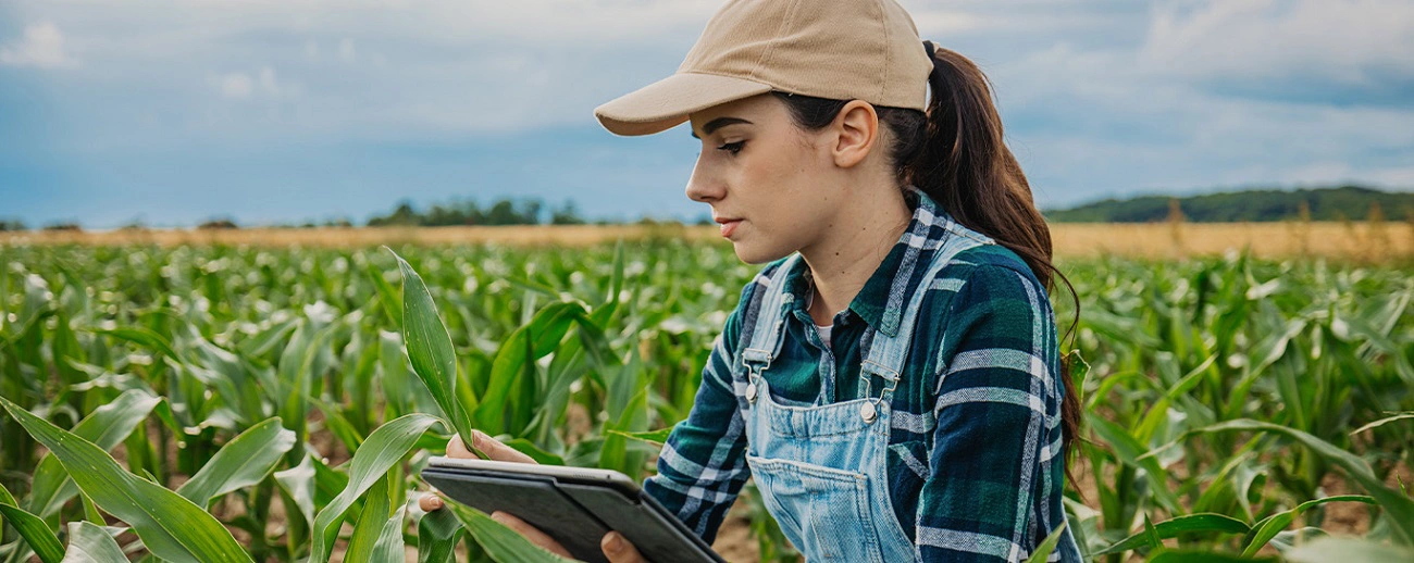 Seguro rural pode contribuir com a sustentabilidade desse setor