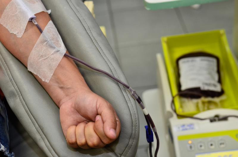 Estudo leva em conta que portador assintomático pode doar sangue sem saber que está com leishmaniose