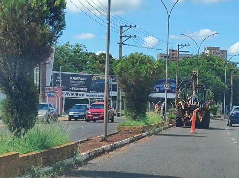 Administração alega que vegetação em alguns pontos poderia dificultar visibilidade dos motoristas