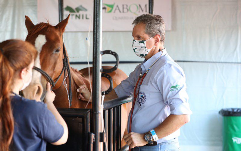 Médicos veterinários desempenham papel essencial no segmento 