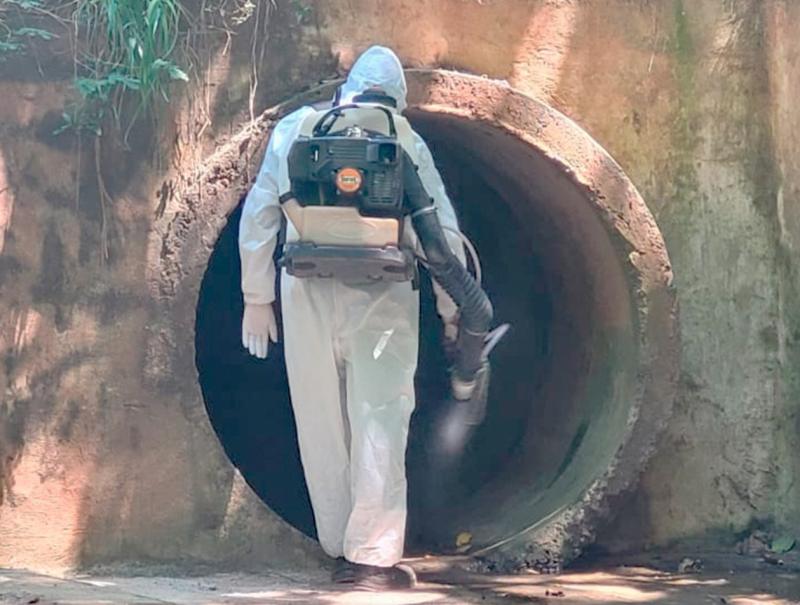 Equipe realizou termonebulização em redes de águas pluviais e bueiros