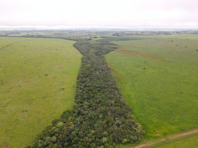 Reunião debaterá região sob prisma dos Objetivos de Desenvolvimento Sustentável, focados na dimensão ambiental