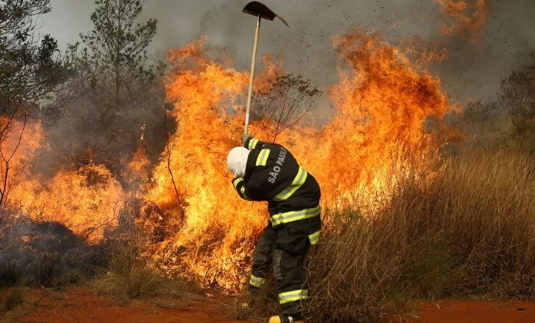 Oficina preparatória vai abordar estratégias para reduzir riscos de incêndios florestais em áreas de preservação ambiental
