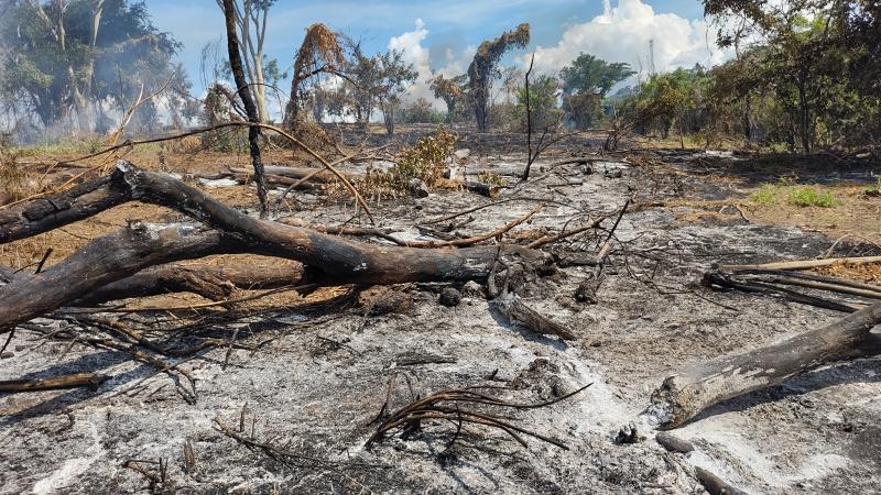 Desmatamento de terreno era feito com emprego de trator com lâmina e roçadeira