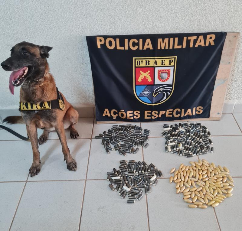 Cadela Kira indicou que mulher e três homens transportavam entorpecente no estômago