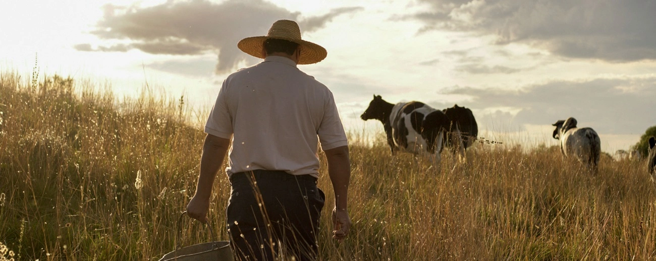Com gestão, atividades no agro crescem de forma sustentável