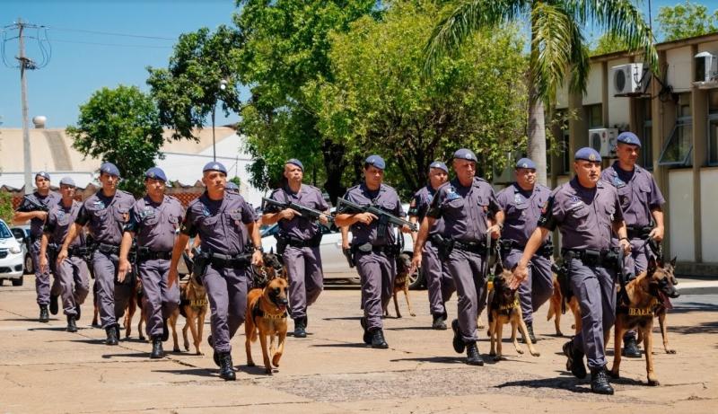 23 cachorros são aptos para policiamento e atuação como cães de faro para entorpecentes, armas e pessoas