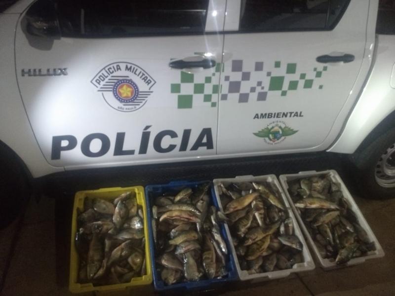 População pode denunciar crimes ambientais pelos telefones 181 e 190