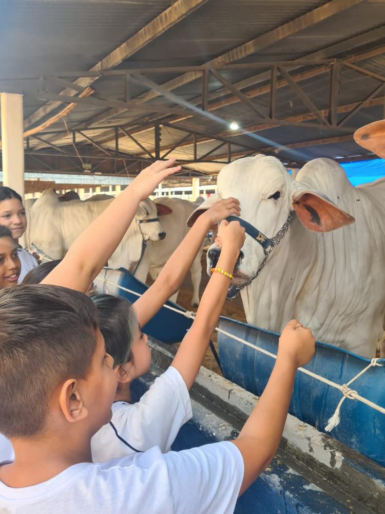 Objetivo da atividade é aproximar crianças da realidade do campo