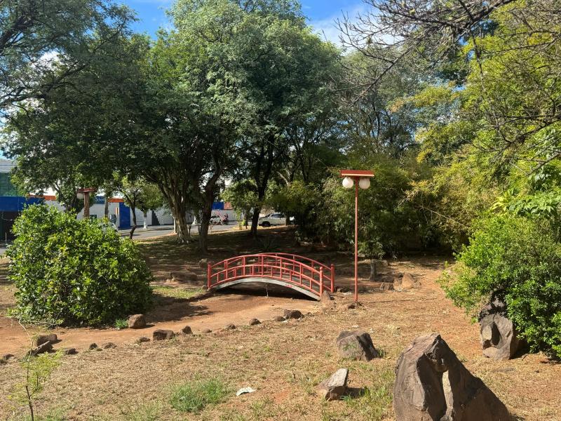 Evento ocorre das 17h às 22h, na Praça das Cerejeiras, no Jardim Esplanada