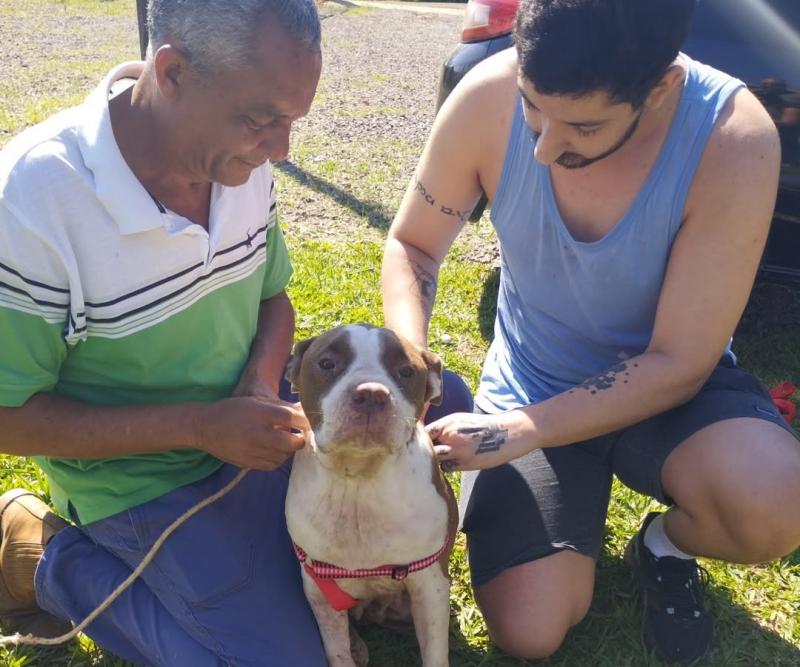 Animais são resgatados, recebem tratamento e depois vão para adoção
