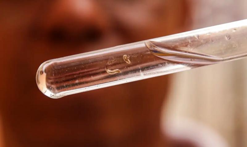 Mais de 3,1 mil ocorrências de dengue estão sob suspeita na região de Prudente 