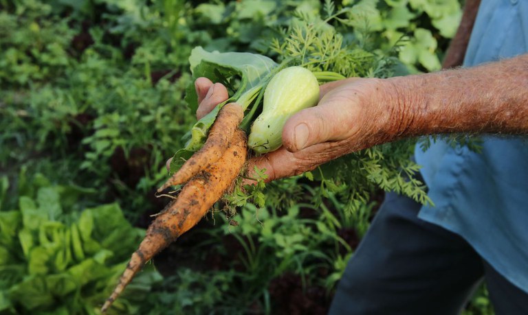 Programa tem como objetivo auxiliar produtor rural a aumentar faturamento