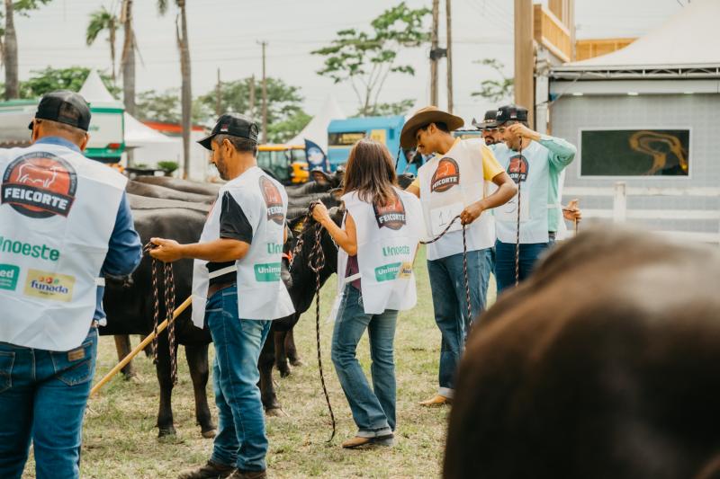 Alunos e professores darão suporte no manejo e recepção dos animais, avaliação zootécnica e bem-estar animal