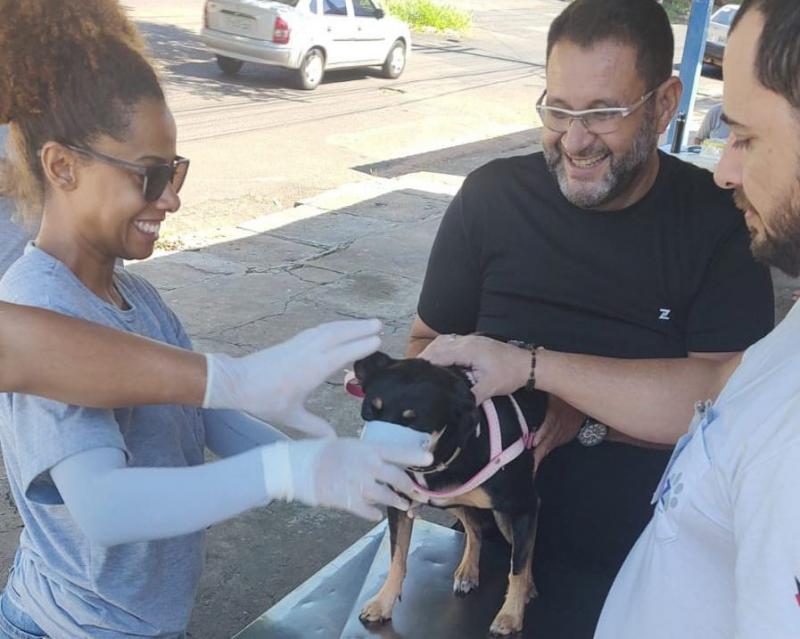 Humberto Salvador e Monte Carlo receberão serviços de coleta de sangue e chipagem em cães