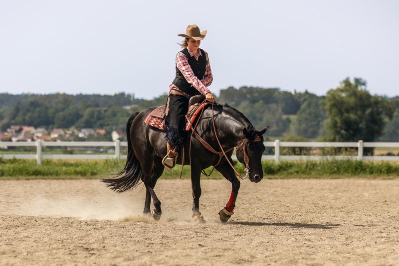 Suplementação estratégica contribui para o desempenho, bem-estar e longevidade desta versátil raça equestre