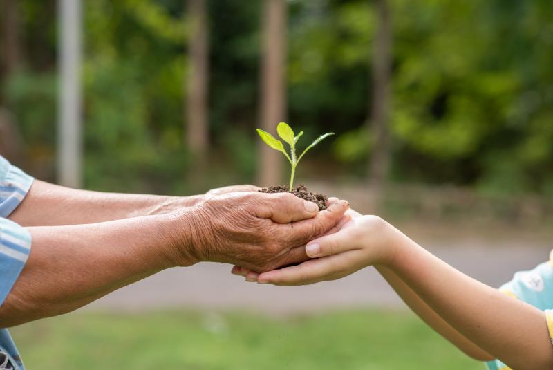 Ações educativas relacionadas ao meio ambiente serão realizadas ao longo da semana