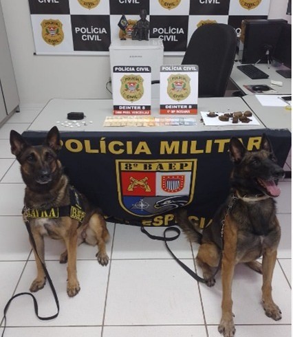Ação de combate ao tráfico de drogas contou com apoio do Canil do 8º Baep e demais unidades