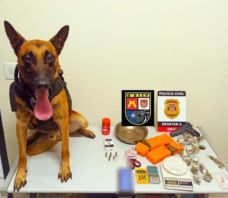 Porções de drogas, balanças, simulacro, entre outros objetos, foram apreendidos com apoio do Canil
