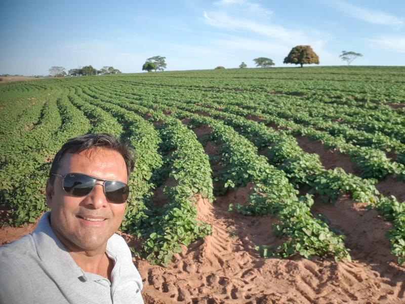 Luiz Rocha, na sua lavoura de batata-doce
